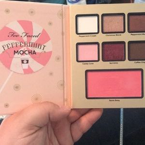 Too Faced Peppermint Mocha palette